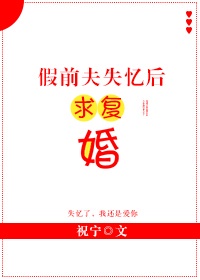 风筝电视剧完整版