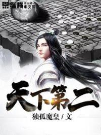 医婿叶凡