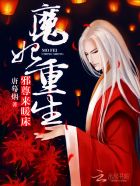 h长篇小说合集txt新浪