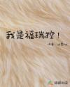 同人动漫网站