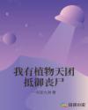 妻姐小说