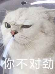 蛋仔派对官方下载