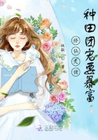 重生之斗破后宫