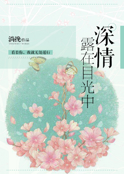 执宰大明