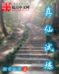 藏海花1—36集电视剧免费观看