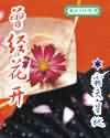 理轮片