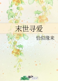 魔兽世界怀旧服圣骑士