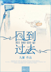 性炮床八爪椅合欢