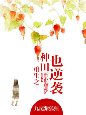 金甲战士第二部