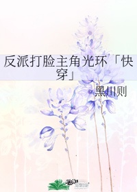 分手的决心在线观看完整版免费