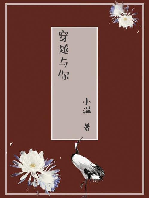 水泄不通txl金银花