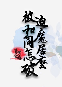 旋风少女第二季免费看