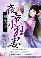 孤胆枪手2hd