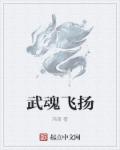 美国的桥矿hd