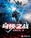 一级律师txt下载