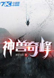 打扑克高清视频在线观看