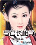 茶城网