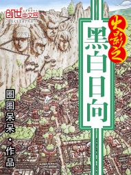 高清炮17p