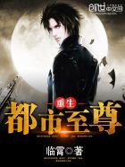 童宁电影那部最开放