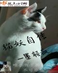 饕餮盛宴小白龟的猫