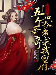 动画新任女教师
