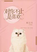 电影绝色神偷国语版在线观看