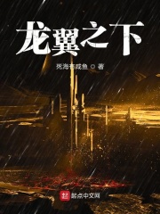 重生之怨偶