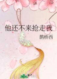 holly halston 尼玛