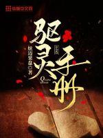 桃运村医 小说