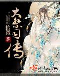 合伙人电视剧免费版