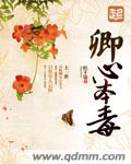 农门小辣妃