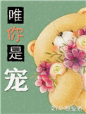 成都4p百度云