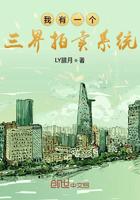 酒心月亮小说