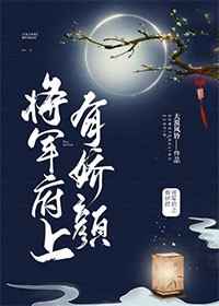 塞尔达王国之泪