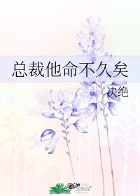 婚后的秘密张研免费阅读