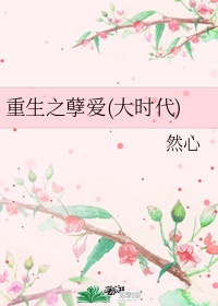 113影视