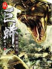 婚前试爱在线观完整版