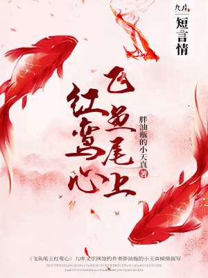 玩火疯子三三讲的什么