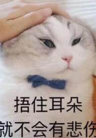 宇宙战舰大和号