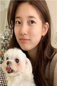 女生的小雏菊长什么样
