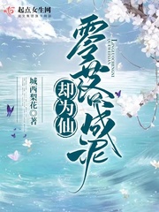 bb视频安装