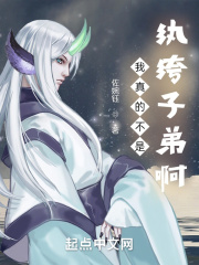 变形金刚2高清国语免费观看