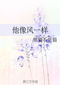 免费日皮视频