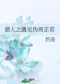wizardtoolcom分院测试