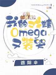 程仪公媳小说