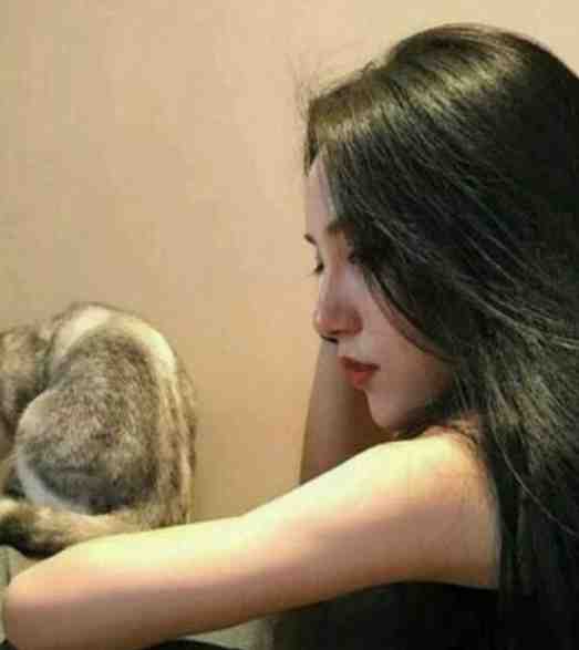 完美世界免费观看