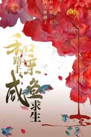 爱上海
