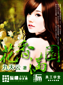 叶辰小说