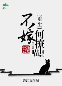 游戏人生第二季