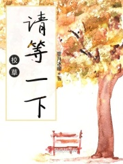 爱威波安装